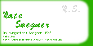 mate smegner business card